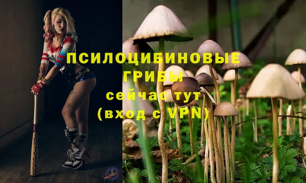 крисы Богданович