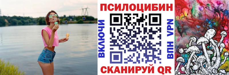 магазин продажи наркотиков  Урень  Псилоцибиновые грибы Psilocybine cubensis 